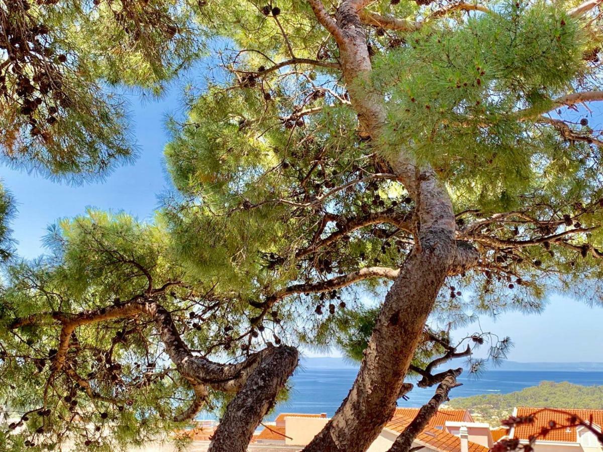 Apartamento 17 Pines Makarska Exterior foto