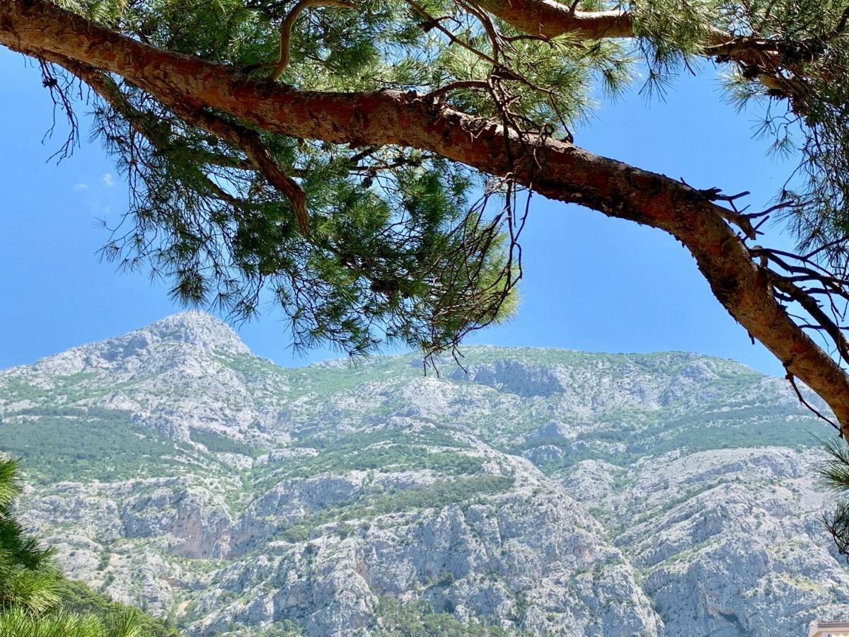 Apartamento 17 Pines Makarska Exterior foto